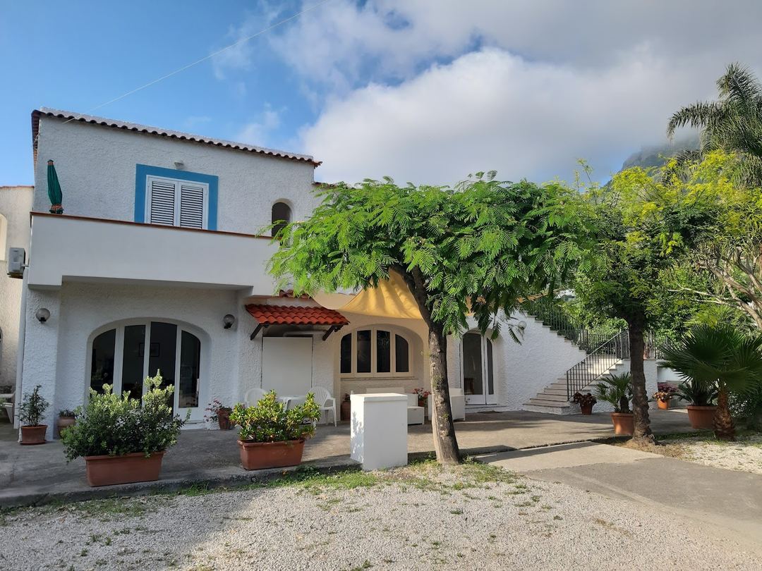 Whitewashed Mediterranean-style villa with blue shutters, terracotta planters, and mature shade trees in a sunny courtyard setting.
